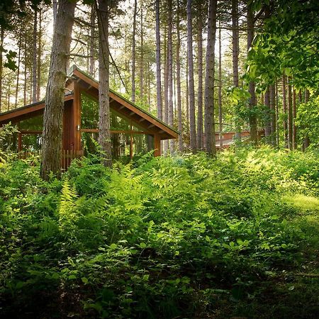 Blackwood Forest Cabins - Forest Holidays Popham Ngoại thất bức ảnh