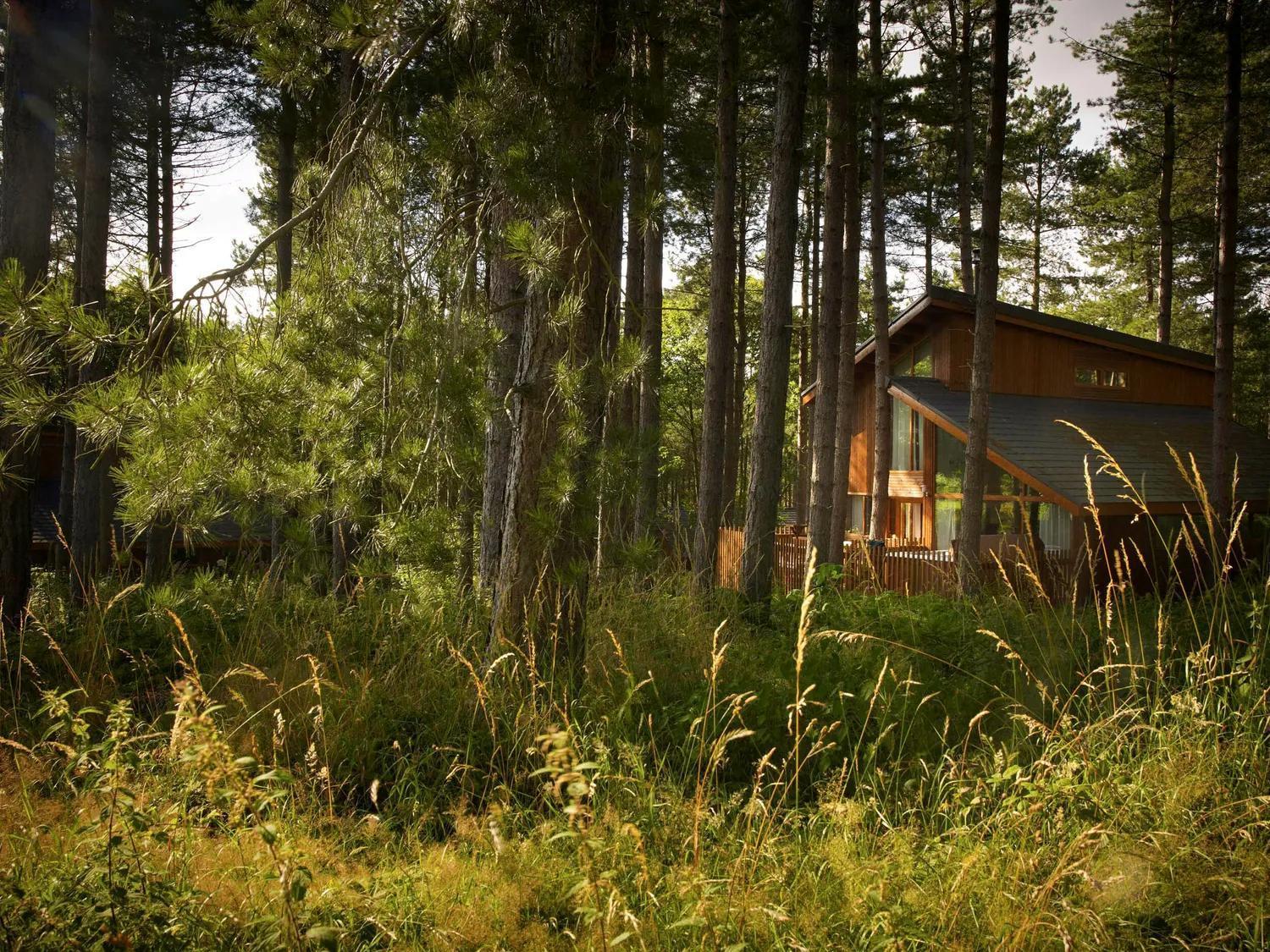 Blackwood Forest Cabins - Forest Holidays Popham Ngoại thất bức ảnh
