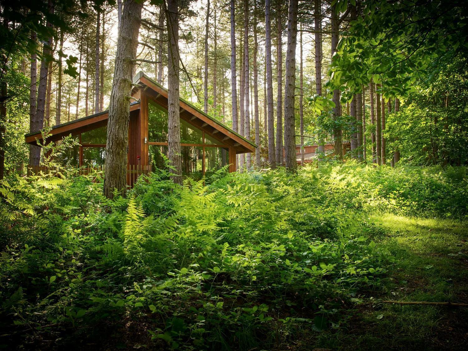 Blackwood Forest Cabins - Forest Holidays Popham Ngoại thất bức ảnh