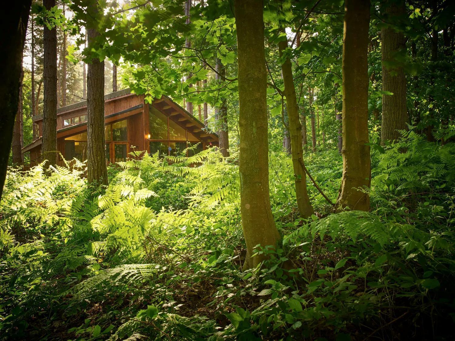 Blackwood Forest Cabins - Forest Holidays Popham Ngoại thất bức ảnh