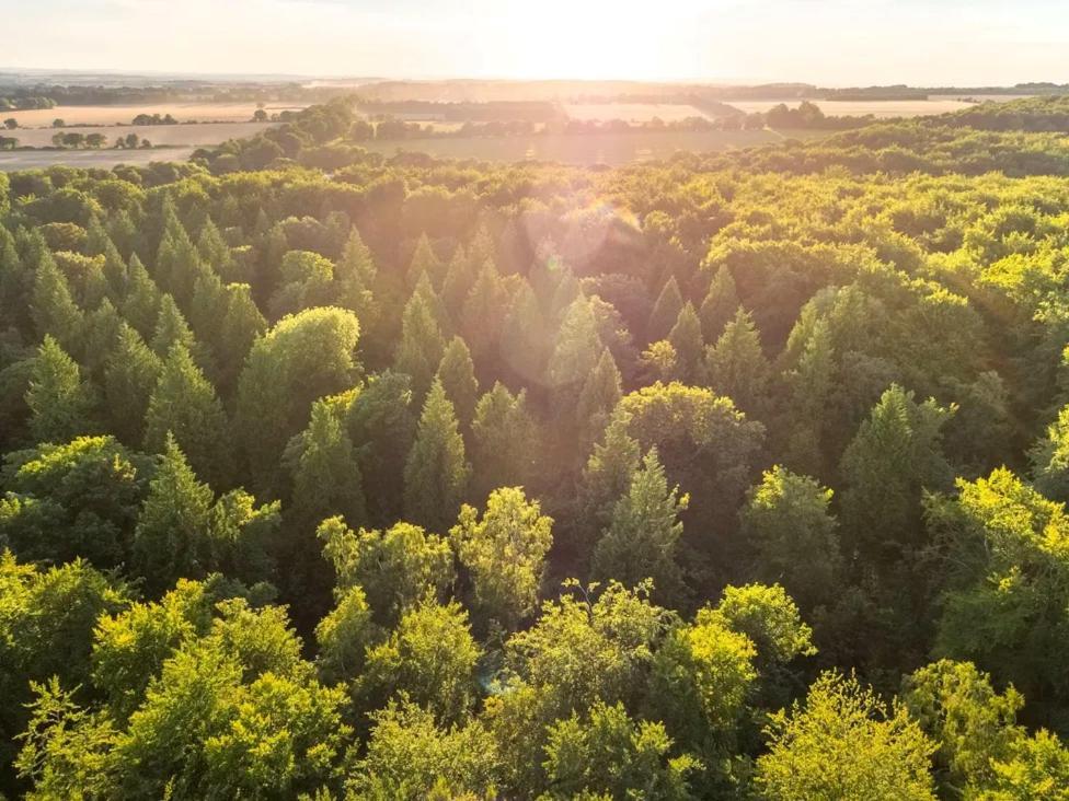 Blackwood Forest Cabins - Forest Holidays Popham Ngoại thất bức ảnh
