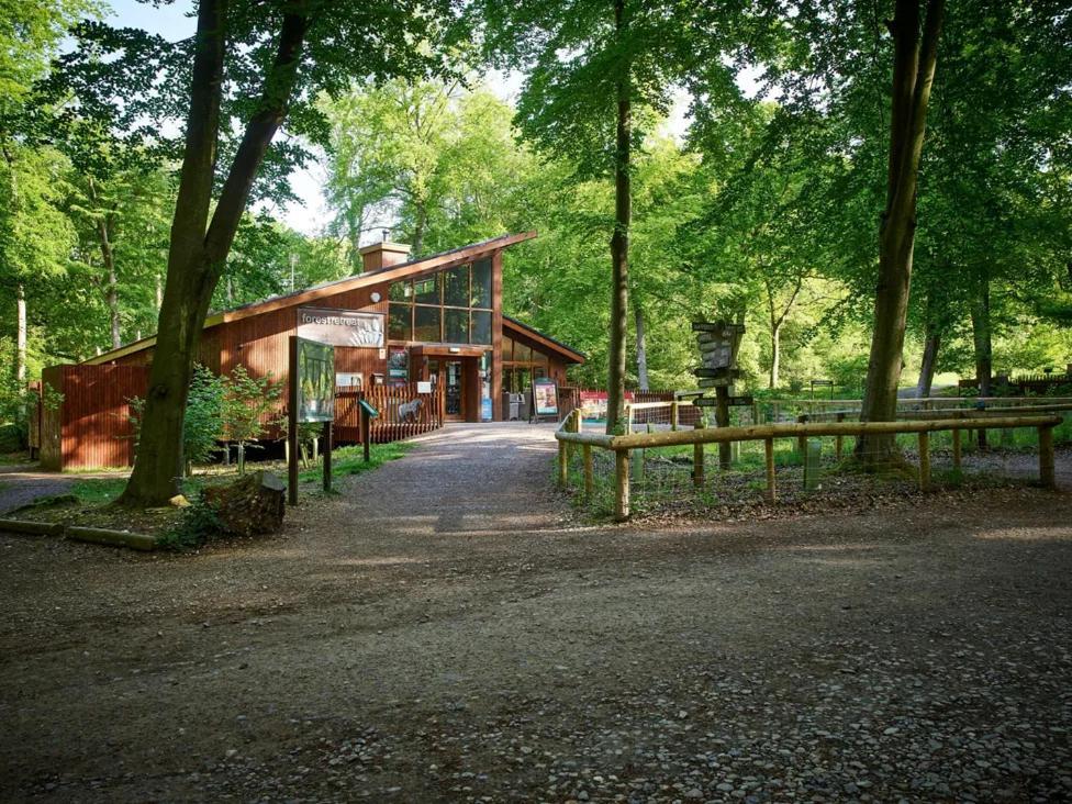 Blackwood Forest Cabins - Forest Holidays Popham Ngoại thất bức ảnh